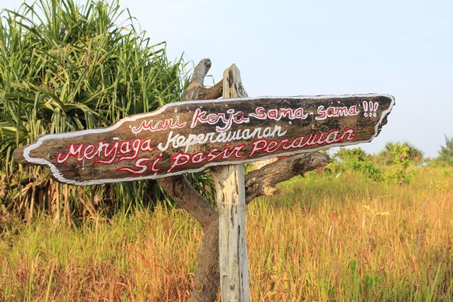 Pari Solata Seaview Homestay Syariah Kepulauan Seribu Eksteriør bilde