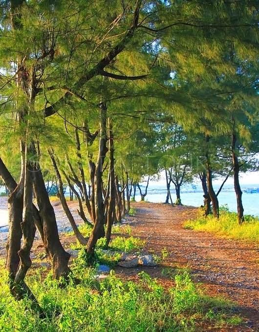 Pari Solata Seaview Homestay Syariah Kepulauan Seribu Eksteriør bilde