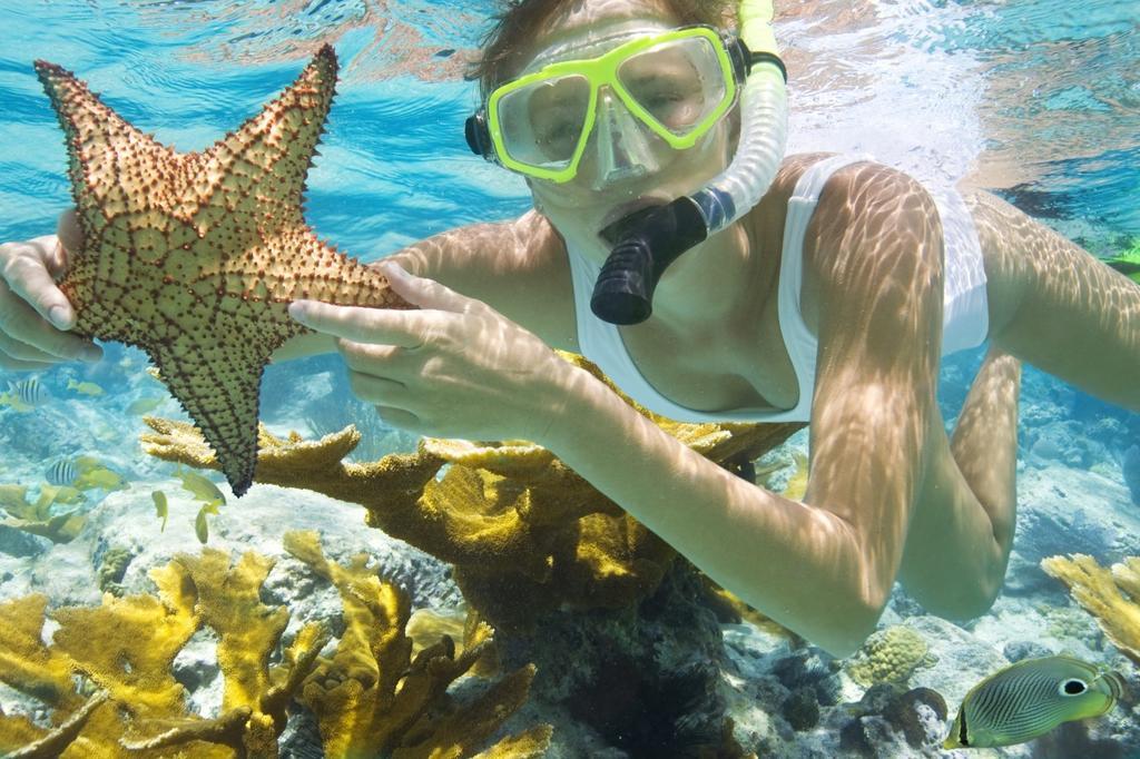 Pari Solata Seaview Homestay Syariah Kepulauan Seribu Eksteriør bilde